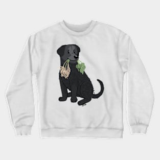 curly coated retriever Crewneck Sweatshirt